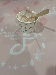 観光の時間が少...