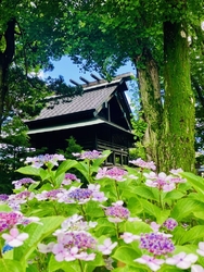 朝起きた時は、...
