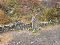 いろは坂の下り...