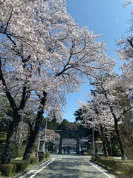通りがかった乃...