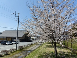 温泉に入る前に...