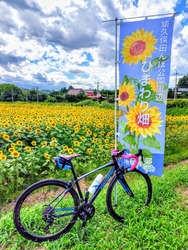 ひまわり畑を見...
