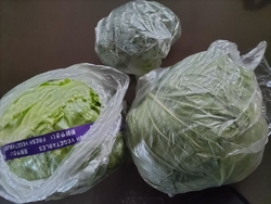 半年に一度の特...
