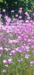 今日は、５月1...