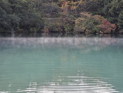 生まれて初めて...