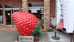 いちご系がメイ...