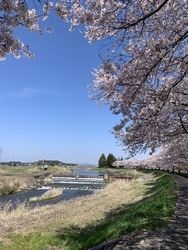 下野市立石橋中...