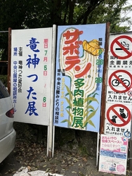 サボテンと多肉...