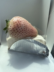 美味しそうなケ...