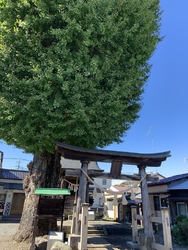 鹿沼市の中心部...