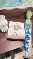 旅行の帰りに立...