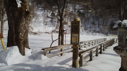 湯ノ平湿原の中...