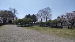 美原公園でのお...