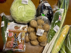 野菜が欲しくて...