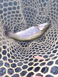 釣行の締めくく...