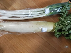 ねぎを買いに行...