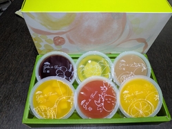我が家の家庭菜...