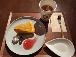 久しぶりにこち...