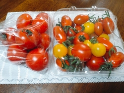 またまたまたこ...