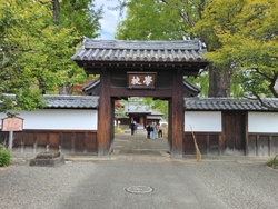 せっかく足利に...