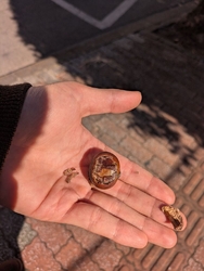 ジェラートをや...