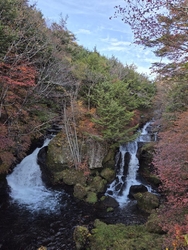 かなり色ついて...