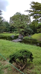 子供とお散歩に...
