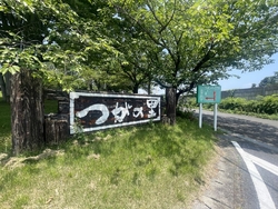 蓮が見られる公...