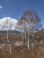 真冬の戦場ヶ原...