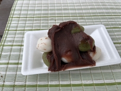 久しぶりに桜を...