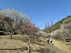 いつか行ってみ...