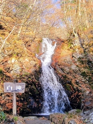 日塩もみじライ...