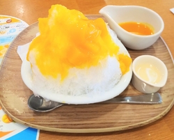 純氷ふわふわか...