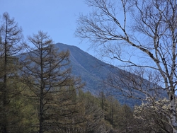地元、鹿沼市方...