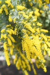 昨年の投稿です...