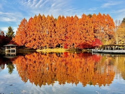 今年もメタセコ...