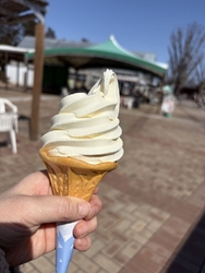 暖かな日でした...