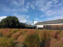 数日前の下野新...