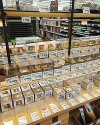 子どもの夏休み...