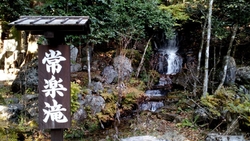 お庭がいつも整...