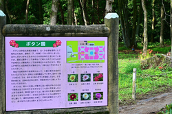 もうじき...