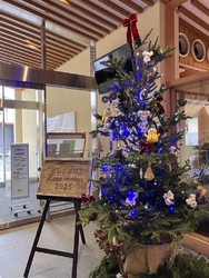 もてぎクリスマ...