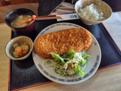 初めて行きまし...