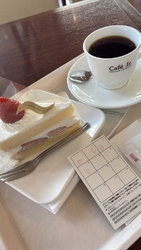 毎月10日はド...