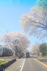 晴天の日に、通...