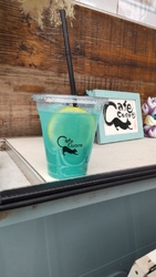 野木神社で猫マ...