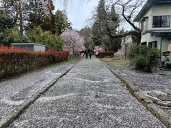 八幡山公園に行...