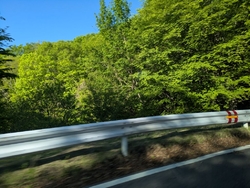中禅寺湖や湯ノ...
