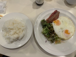 益子にひまわり...