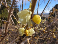 前回伺ったのが...